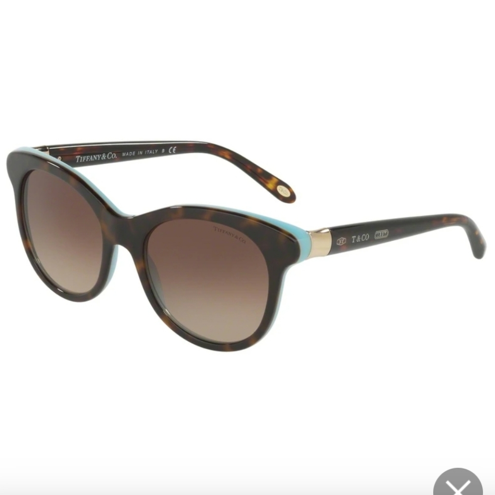 Tiffany & Company Sunglasses TF4125 1161